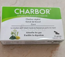 CHARBOR CHARBON VEGETAL BOITE DE 30 GELULES
