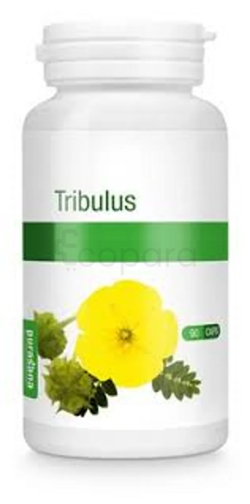 PURASANA TRIBULUS BOITE DE 90 COMPRIMES
