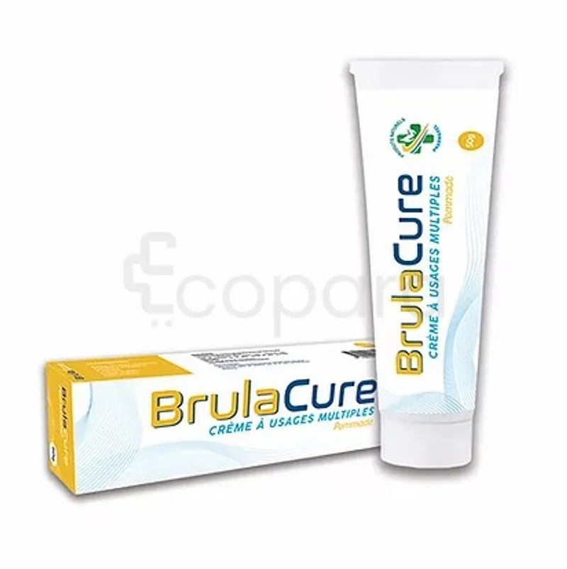 BRULACURE PD 50G POMMADE DERMIQUE