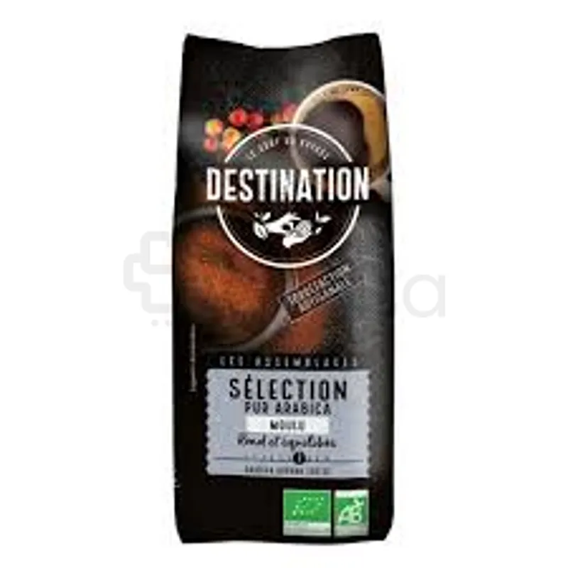 DESTINATION PUR ARABICA MOULU 500G