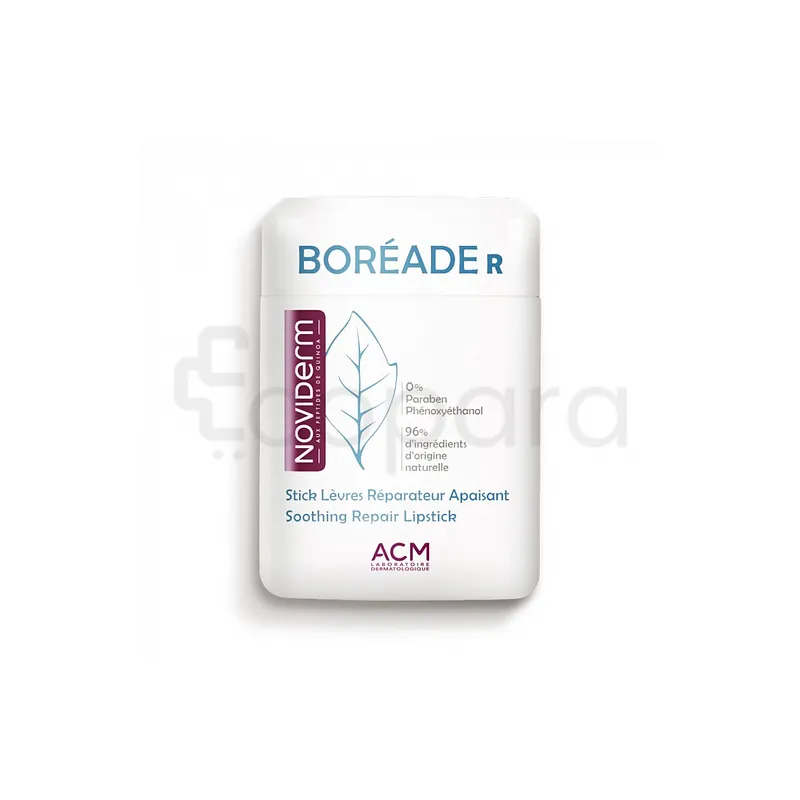 ACM NOVIDERM BOREADE R STICK A LEVRES REPARATEUR APAISANT 9.2G