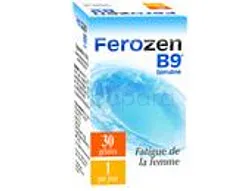 FEROZEN B9 BOITE DE 30 GELULES