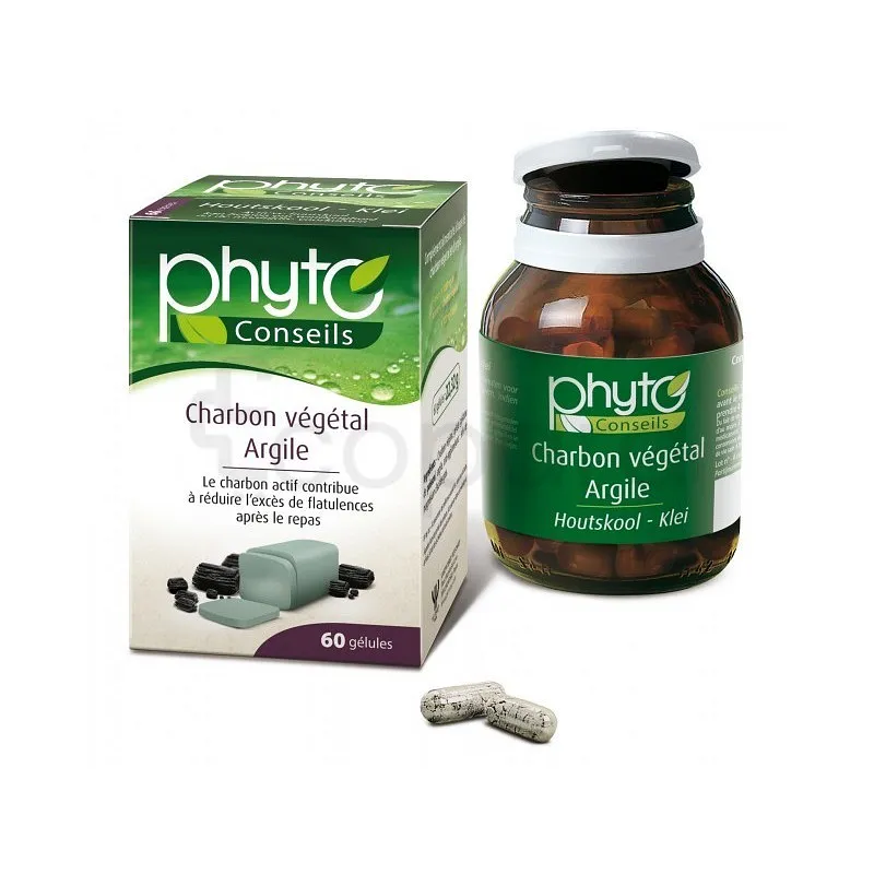 YVES PONROY ARGILE VERTE CHARBON VEGETAL BOITE DE 100 GELULES