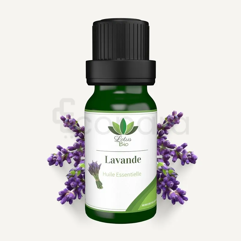 LOTUS BIO HUILE ESSENTIELLE LAVANDE 10ML