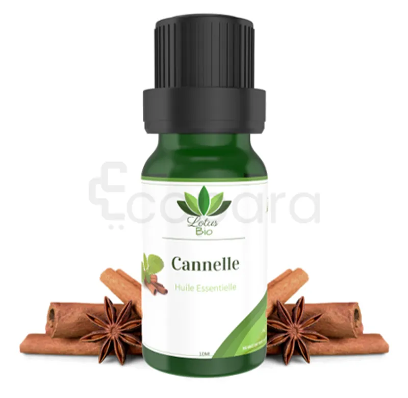 LOTUS BIO HUILE ESSENTIELLE CANNELLE 10ML