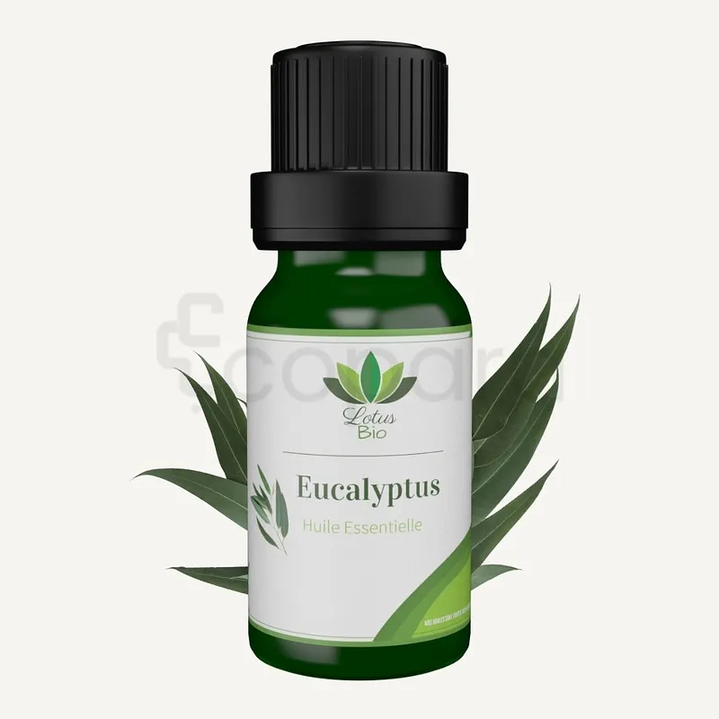 LOTUS BIO HUILE ESSENTIELLE EUCALYPTUS 10ML