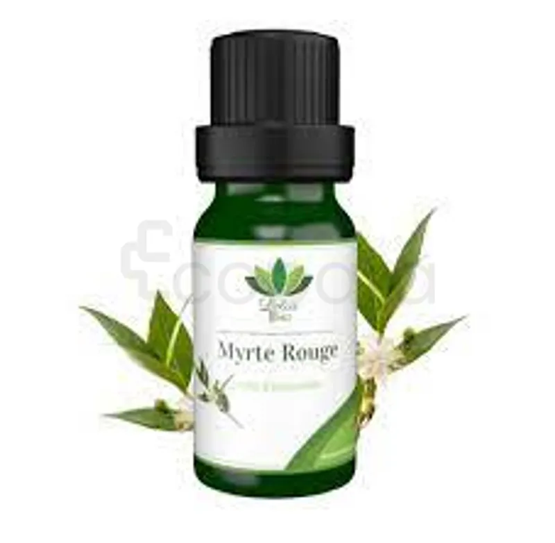 LOTUS BIO HUILE ESSENTIELLE MYRTE ROUGE 10ML