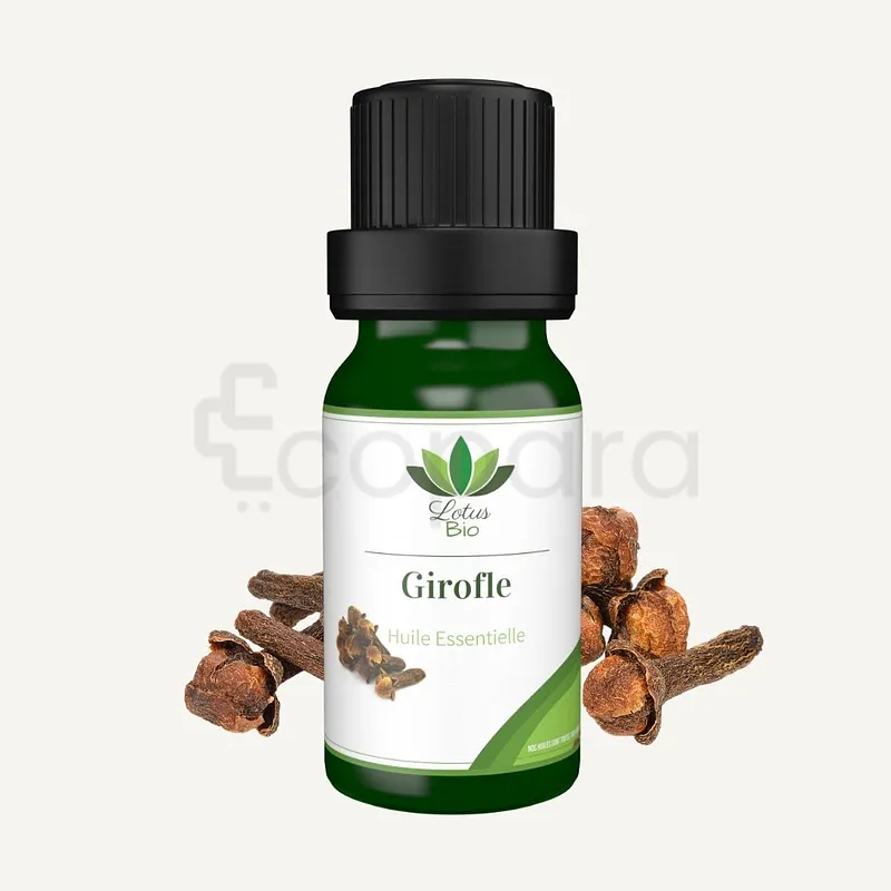 LOTUS BIO HUILE ESSENTIELLE GIROFLE 10ML