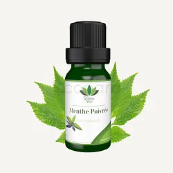 LOTUS BIO HUILE ESSENTIELLE MENTHE POIVREE 10ML