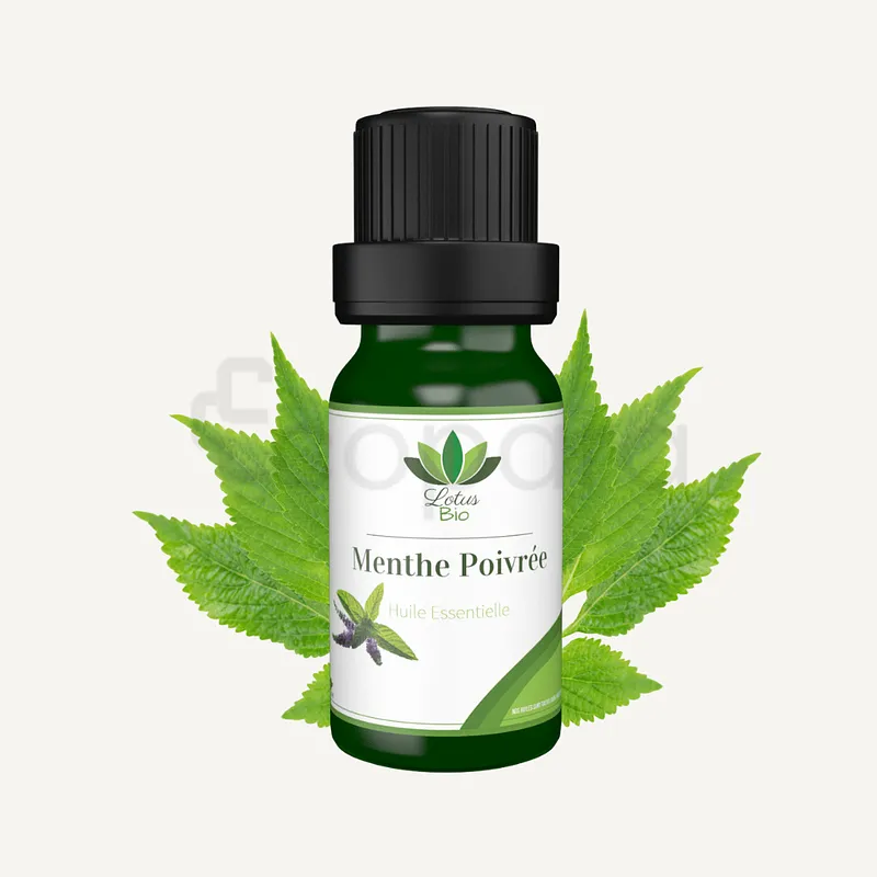 LOTUS BIO HUILE ESSENTIELLE MENTHE POIVREE 10ML