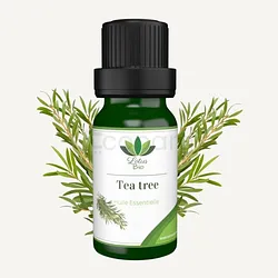 LOTUS BIO HUILE ESSENTIELLE TEA TREE 10ML
