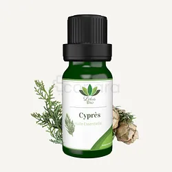 LOTUS BIO HUILE ESSENTIELLE CYPRES 10ML