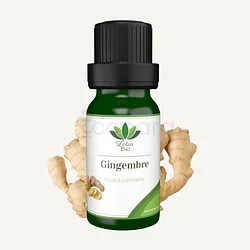LOTUS BIO HUILE ESSENTIELLE GINGEMBRE 10ML