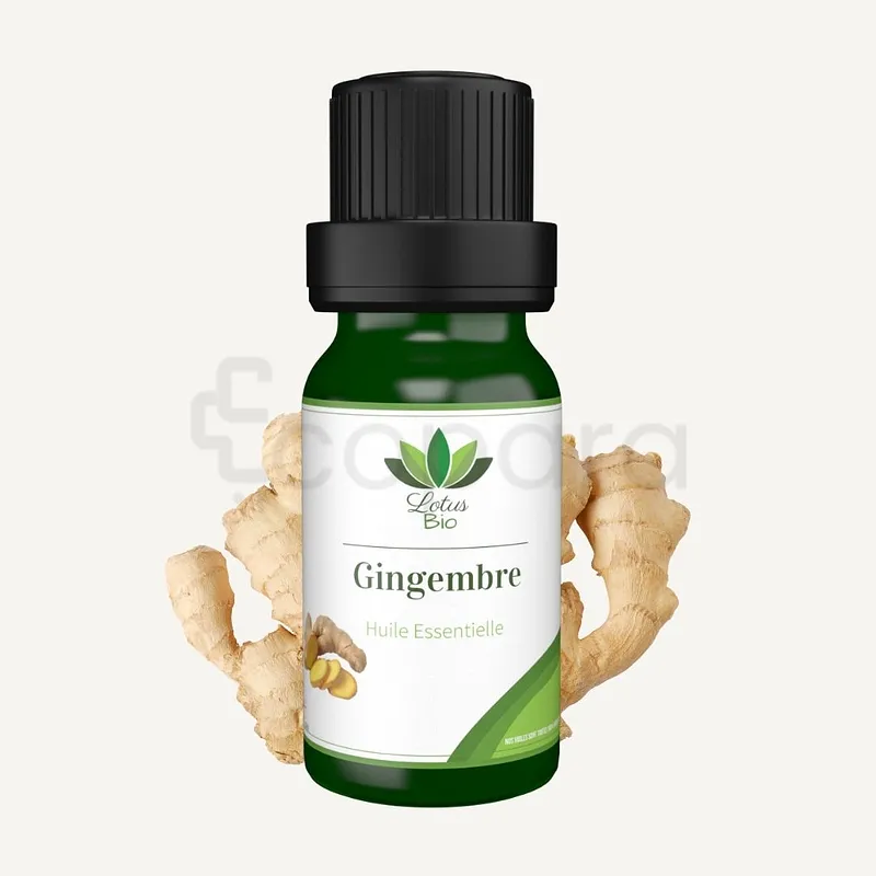 LOTUS BIO HUILE ESSENTIELLE GINGEMBRE 10ML