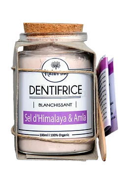 NATUR'IM DENTIFRICE HIMA-SHU SEL D'HIMALAYA & AMLA 50G