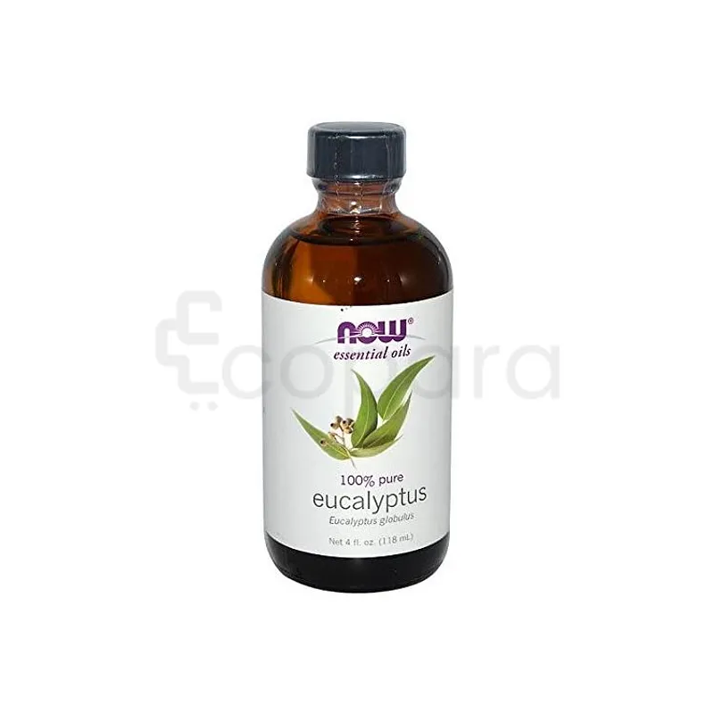 NOW HUILE D'EUCALYPTUS GLOBULUS 30ML