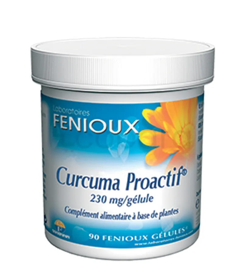 FENIOUX CURCUMA PROACTIF BOITE DE 90 GELULES