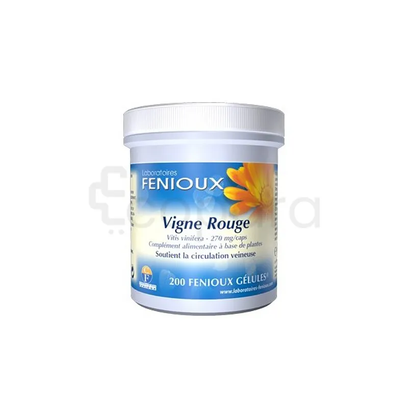 FENIOUX GINSING ROUGE BOITE DE 200 GELULES