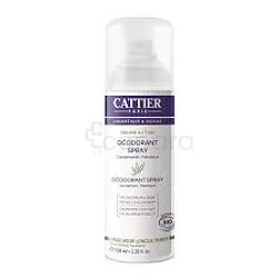 CATTIER DEODORANT SPRAY FEMME BRUME ACTIVE 100ML
