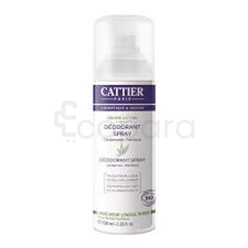 CATTIER DEODORANT SPRAY FEMME BRUME ACTIVE 100ML