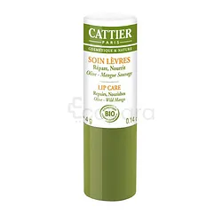 CATTIER SOIN LEVRES REPARE NOURRIT OLIVE MANGUE SAUVAGE 4G