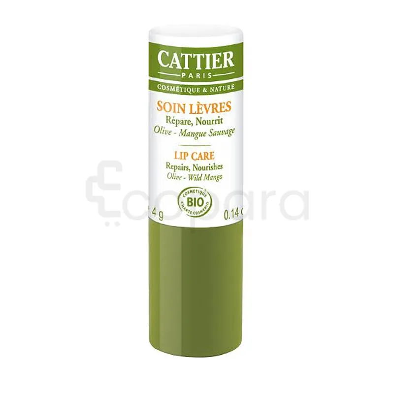 CATTIER SOIN LEVRES REPARE NOURRIT OLIVE MANGUE SAUVAGE 4G