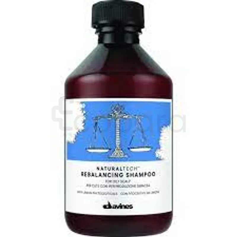 DAVINES NATURALTECH REBALANCING SHAMPOOING 250ML