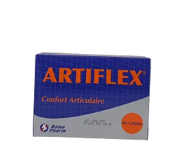 ARTIFLEX BOITE DE 45 GELULES