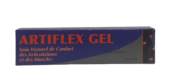 ARTIFLEX GEL 60G GM