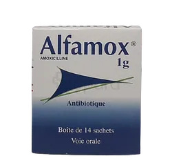 ALFAMOX 1G BOITE DE 14 SACHETS