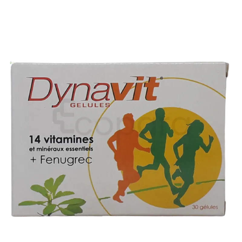 DYNAVIT BOITE DE 30 GELULES