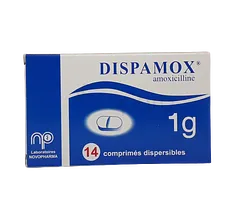 DISPAMOX 1G BOITE DE 14 COMPRIMES DISPERSIBLES
