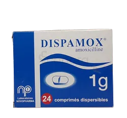 DISPAMOX 1G BOITE DE 24 COMPRIMES DISPERSIBLES