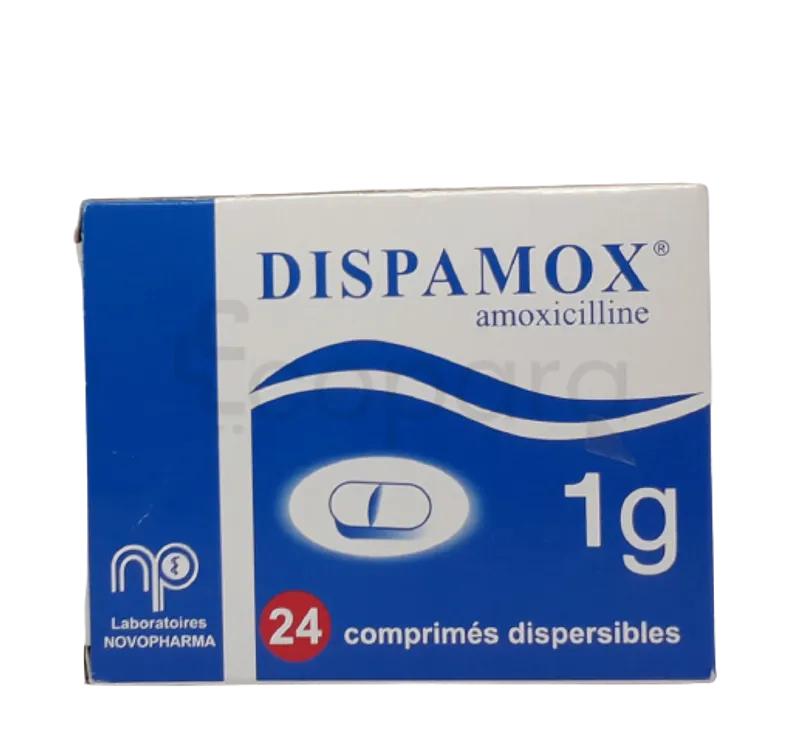 DISPAMOX 1G BOITE DE 24 COMPRIMES DISPERSIBLES