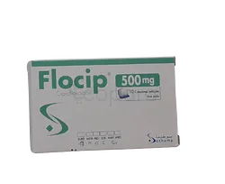 FLOCIP 500MG BOITE DE 10 COMPRIMES