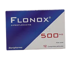 FLONOX 500MG BOITE DE 12 COMPRIMES