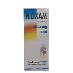 FLOXAM 250MG 100ML SIROP GM