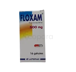FLOXAM 500MG BOITE DE 16 GELULES