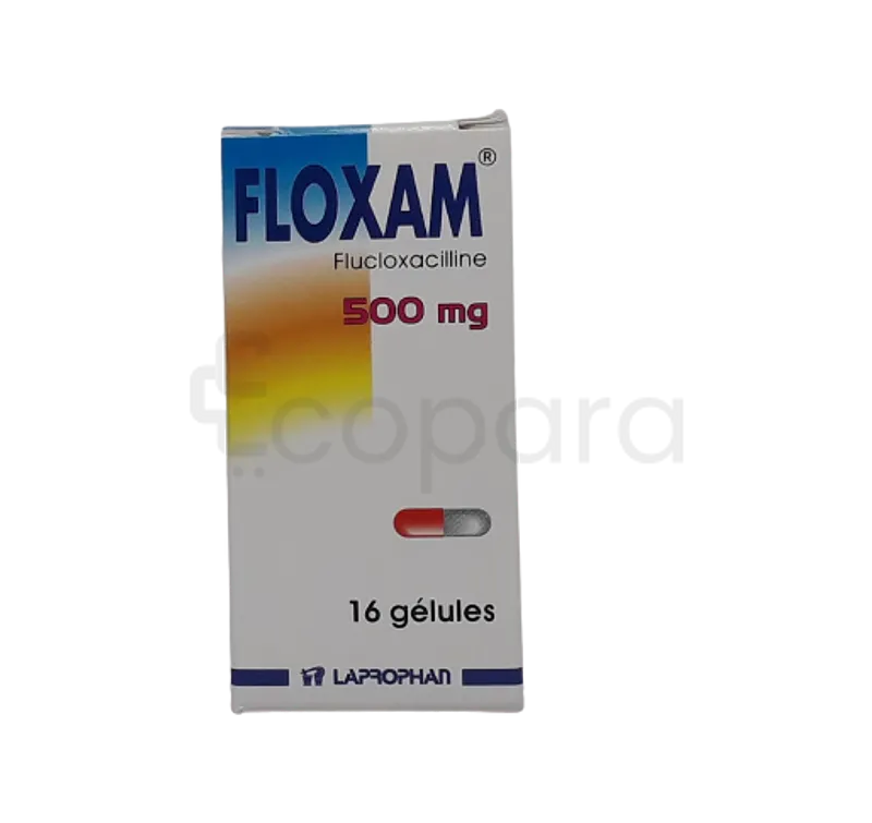 FLOXAM 500MG BOITE DE 16 GELULES
