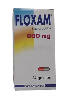 FLOXAM 500MG BOITE DE 24 COMPRIMES