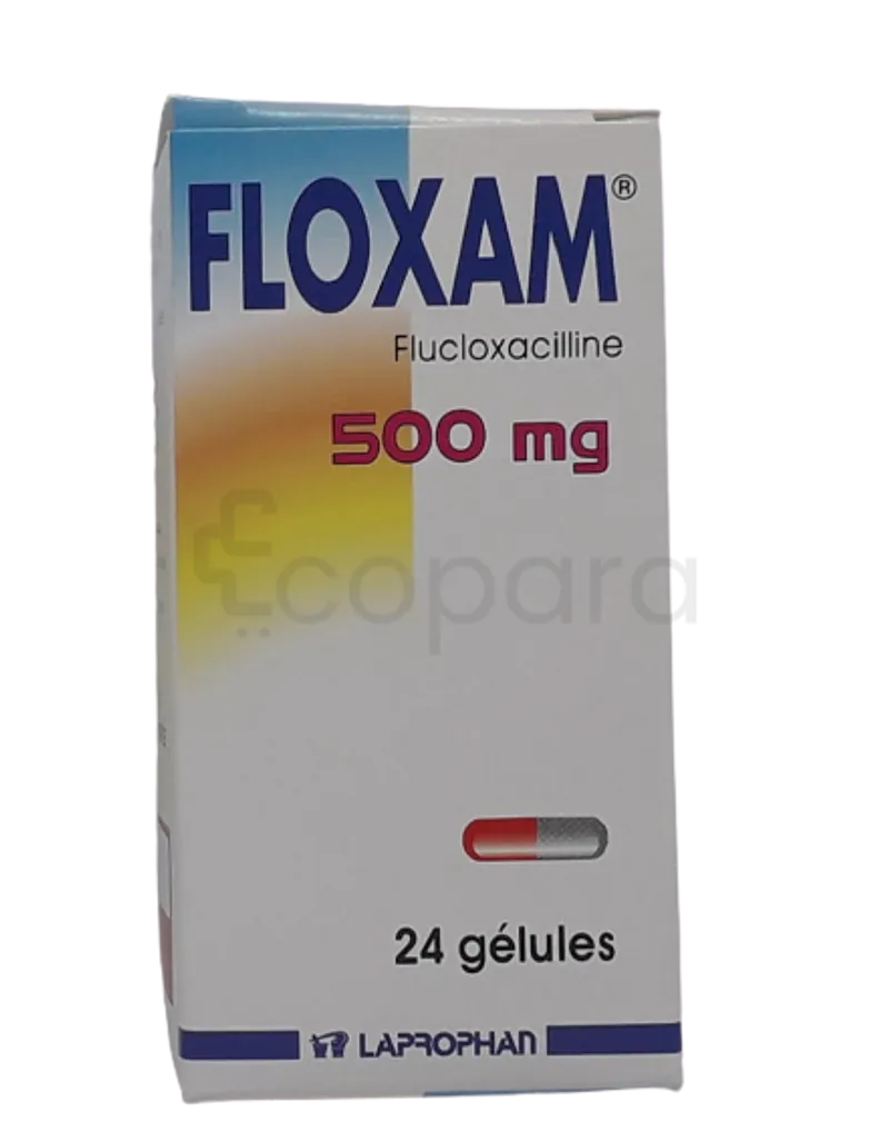 FLOXAM 500MG BOITE DE 24 COMPRIMES