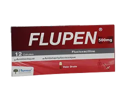 FLUPEN 500MG BOITE DE 12 GELULES