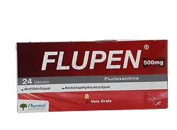 FLUPEN 500MG BOITE DE 24 GELULES