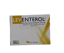 LEVENTEROL 250MG BOITE DE 20 GELULES