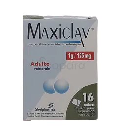 MAXICLAV 1G ADULTES BOITE DE 16 SACHETS