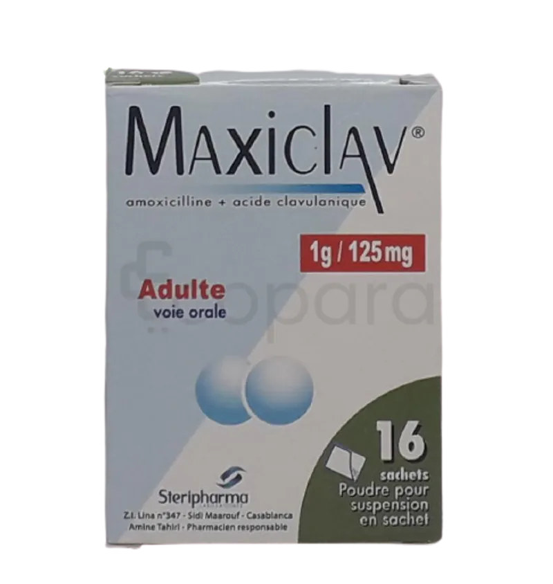 MAXICLAV 1G ADULTES BOITE DE 16 SACHETS