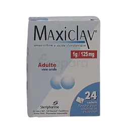 MAXICLAV 1G BOITE DE 24 SACHETS