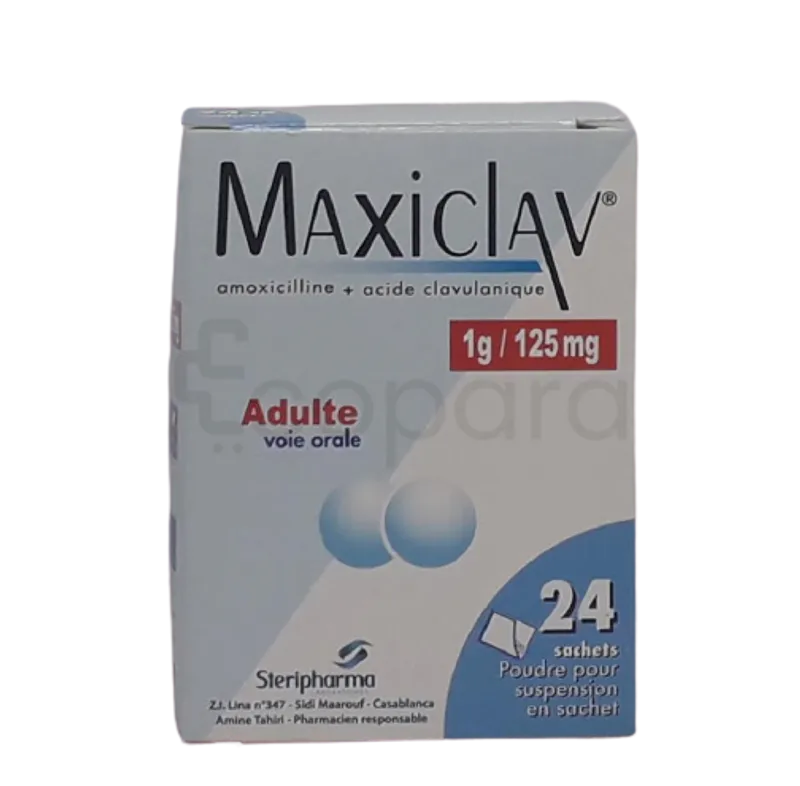 MAXICLAV 1G BOITE DE 24 SACHETS