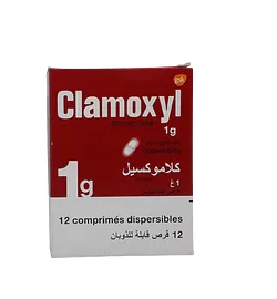 CLAMOXYL 1G BOITE DE 12 COMPRIMES DISPERSIBLES PM