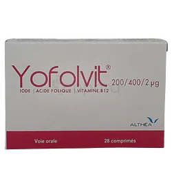YOFOLVIT 200µG/400µG/2µG BOITE DE 28 COMPRIMES